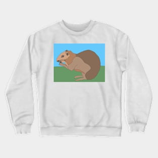Capybara looking cute! Crewneck Sweatshirt